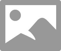 RobertP_0-1731503564531.png