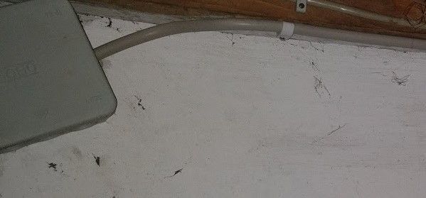 da geht es in der verteiler dosen weiter kann ich es nicht verfolgen dann geht es inner wand