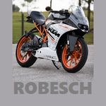 Profil (Robesch)