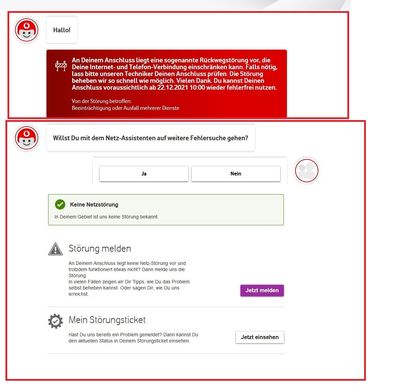Verschiedene Assistenten widersprechen sich.jpg