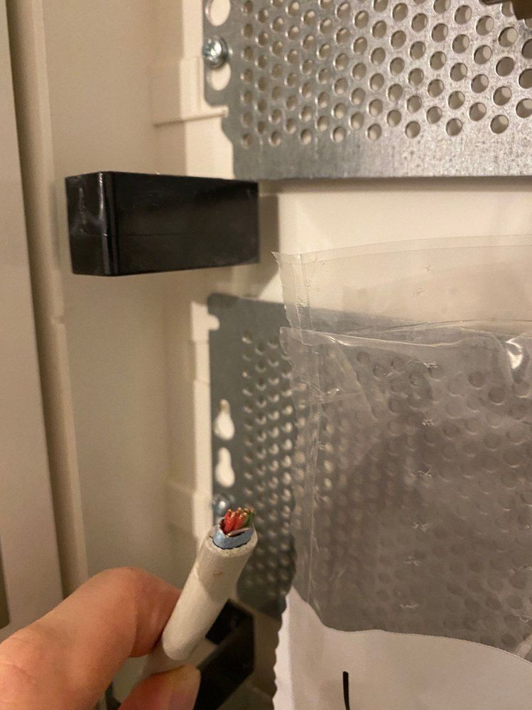 photo_2022-01-24 11.30.54.jpeg