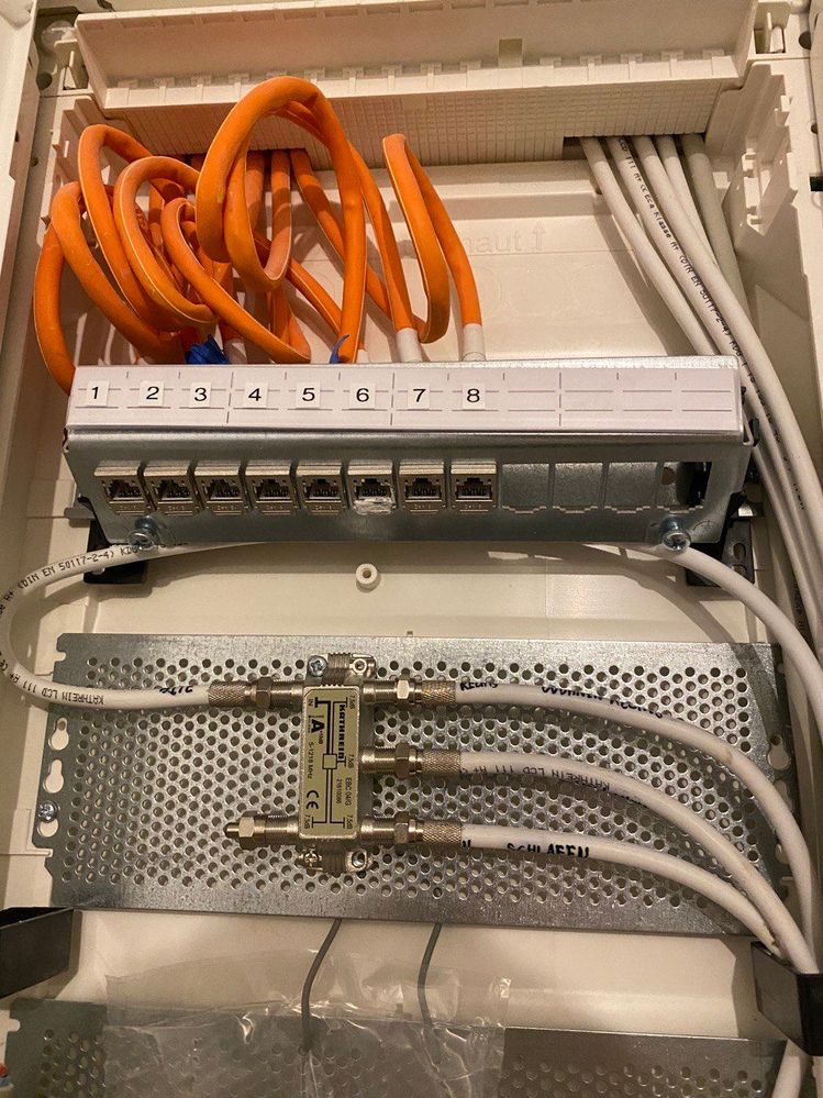 photo_2022-01-24 11.30.56.jpeg