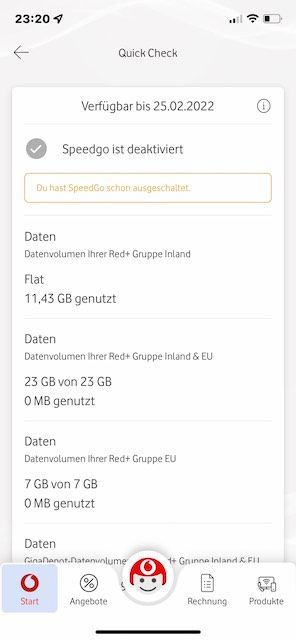 Und was steht nun da unter dem Datenvolumen der Gruppe? Flat? oder irgendwas Chinesisches?