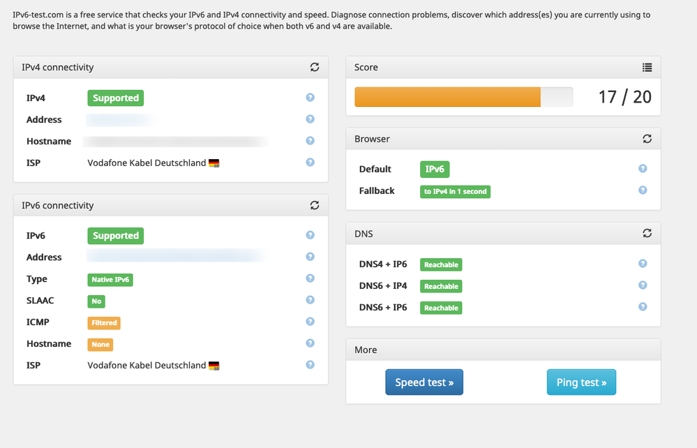 IPv6-test-IPv6-4-connectivity-and-speed-test(1).png