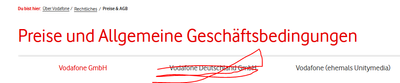 falsche-AGB.PNG