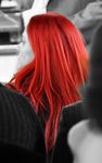 Profil (Nyscherie)