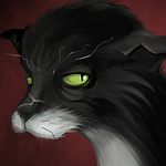 Profil (Shukakumura)