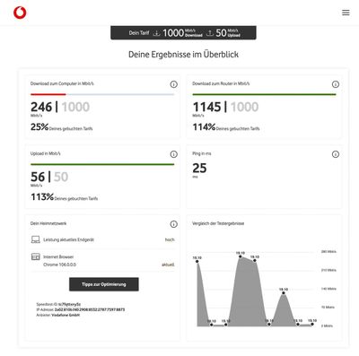 Vodafone Speedtest kurz nach Reset Large.jpeg
