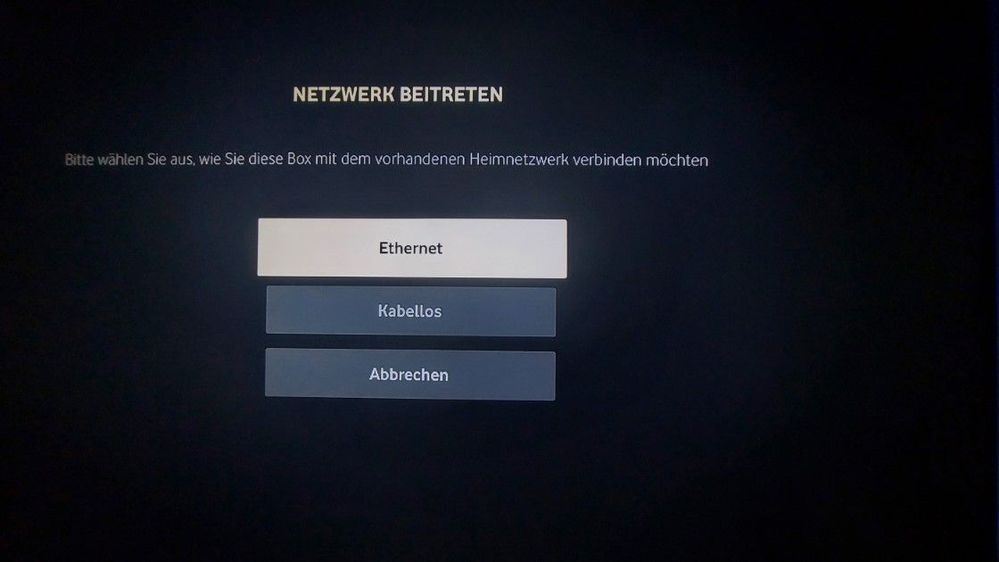 Wie möchte man beitreten; ich wähle Ethernet (also mit LAN-Kabel weil unkompliziert); dazu LAN-Kabel an HZ und Router