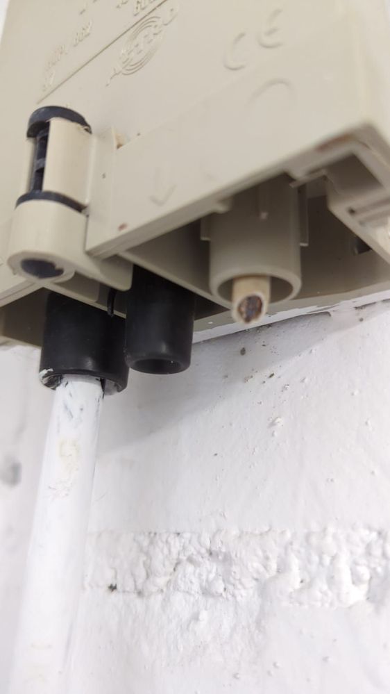 WhatsApp Image 2022-11-05 at 12.36.45.jpeg