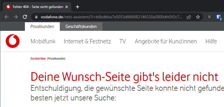 NetzAssistent404.png