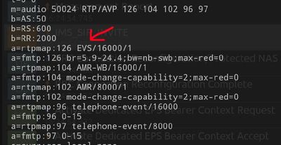 Endgerät meldet EVS Codec Support an das VF Netz