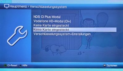 NDS CI Plus Modul + Vodafone HD-Modul (CI+).jpg