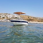 -Skipper-
