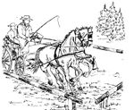 Profil (Kutscher)