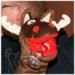 Profil (olfwyn)