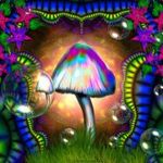Profil (Mushroom)