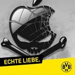 Profil (Raschie)