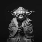 Profil (MeisterYoda)