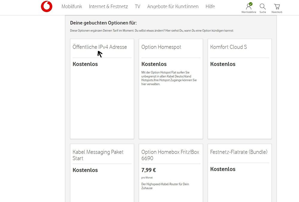Gebuchte Optionen Vodafone.jpg