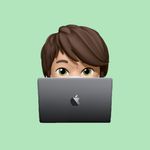 Profil (finjassauer)