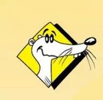Profil (Mir_von_hier)