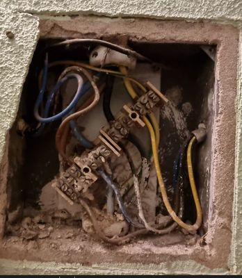 Screenshot 2025-02-21 214556.jpg