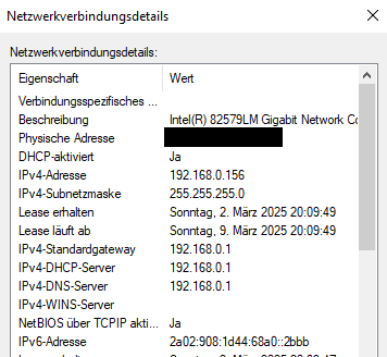 Netzwerkverbindungsdetails.png