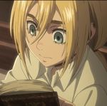 Profil (Darle)