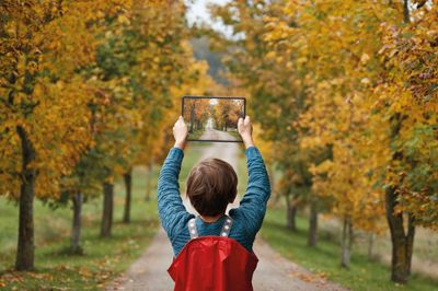 Studio-VF_Boy_Autumn_Trees_Tablet_CMYK.jpeg