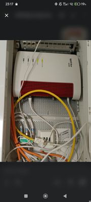 1000031358.jpg