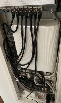 IMG_1848.jpeg