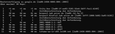 Hohe Latenz Tracert Google.png