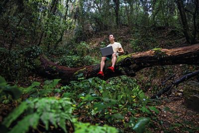 Mann sitzt im Wald mit Laptop auf einem Baum .jpg KI-generiertes Bild