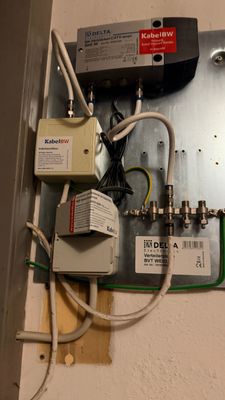 IMG_5713.jpeg
