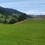 Profil (wiese35)