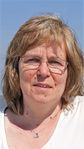 Profil (elenzen)