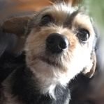 Profil (Uli50)