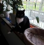 Profil (JustDntGiv3AFuk)