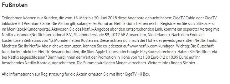 Fußnoten NetflixPromo.JPG