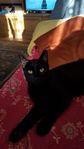 Profil (Tina8)
