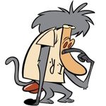 Profil (IR_Baboon)