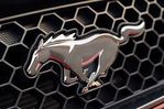 Profil (Focus-ST)