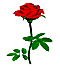 rosen_0066.gif