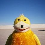 flateric1