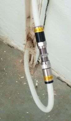 p2.JPG