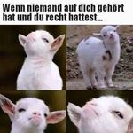 MrVenitari