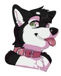 Öffentlich (Starhowl)