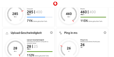 Speedtest_LAN.PNG