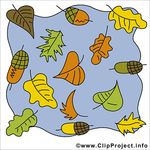 Profil (Eiche123)
